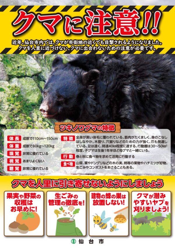 thumbnail of 2025kuma