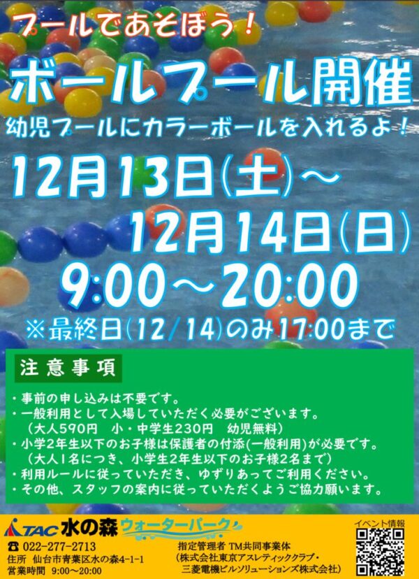 thumbnail of R7.12.13-14 ボールプールPOP