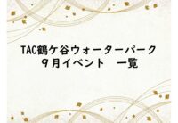 thumbnail of ブログアイキャッチ画像